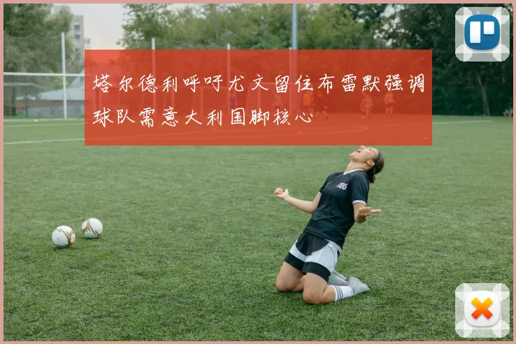 塔尔德利呼吁尤文留住布雷默强调球队需意大利国脚核心