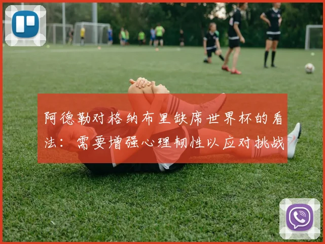 阿德勒对格纳布里缺席世界杯的看法：需要增强心理韧性以应对挑战