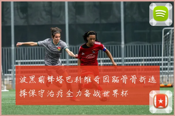 波黑前锋塔巴科维奇因跖骨骨折选择保守治疗全力备战世界杯